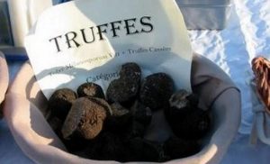 truffes au marché