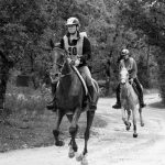 endurance horse Montcuq