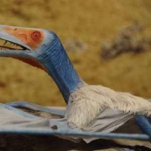 réserve naturelle plage ptérosaures Lot